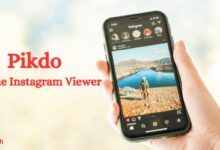 Photo of Detailed Features of Pikdo Online Instagram Viewer