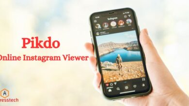 Photo of Detailed Features of Pikdo Online Instagram Viewer