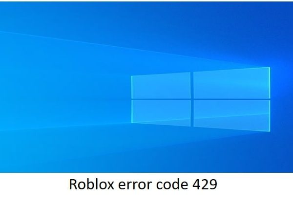 What is roblox error code 429