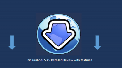 Photo of How to download images in bulk by using Pic Grabber 5.45?