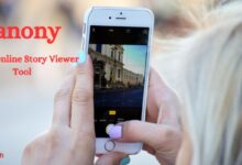 Photo of Detailed Features of Iganony IG Story Viewer Tool