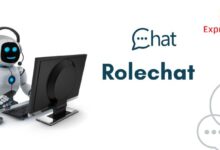 Photo of What Is Rolechat and Top Alternatives In 2024