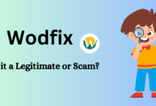 Photo of Wodfix – Is it a Legitimate or Scam? Know the Reality